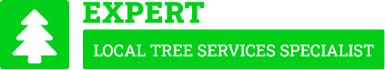 Napier Tree Removal - Tree Removal Napier